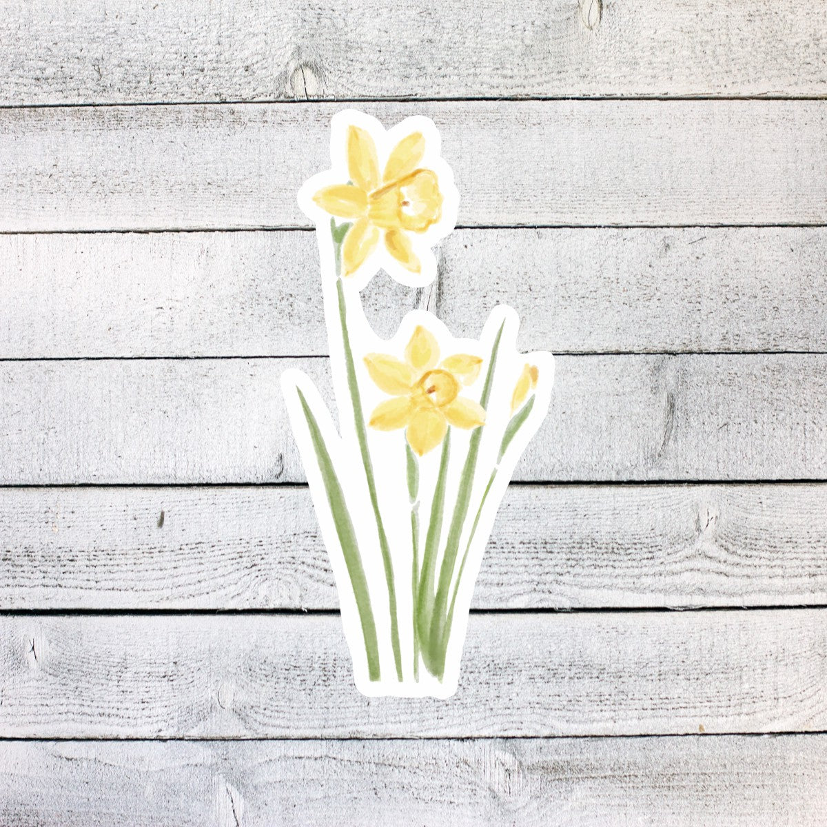 Daffodil March Birth Month Flower Sticker