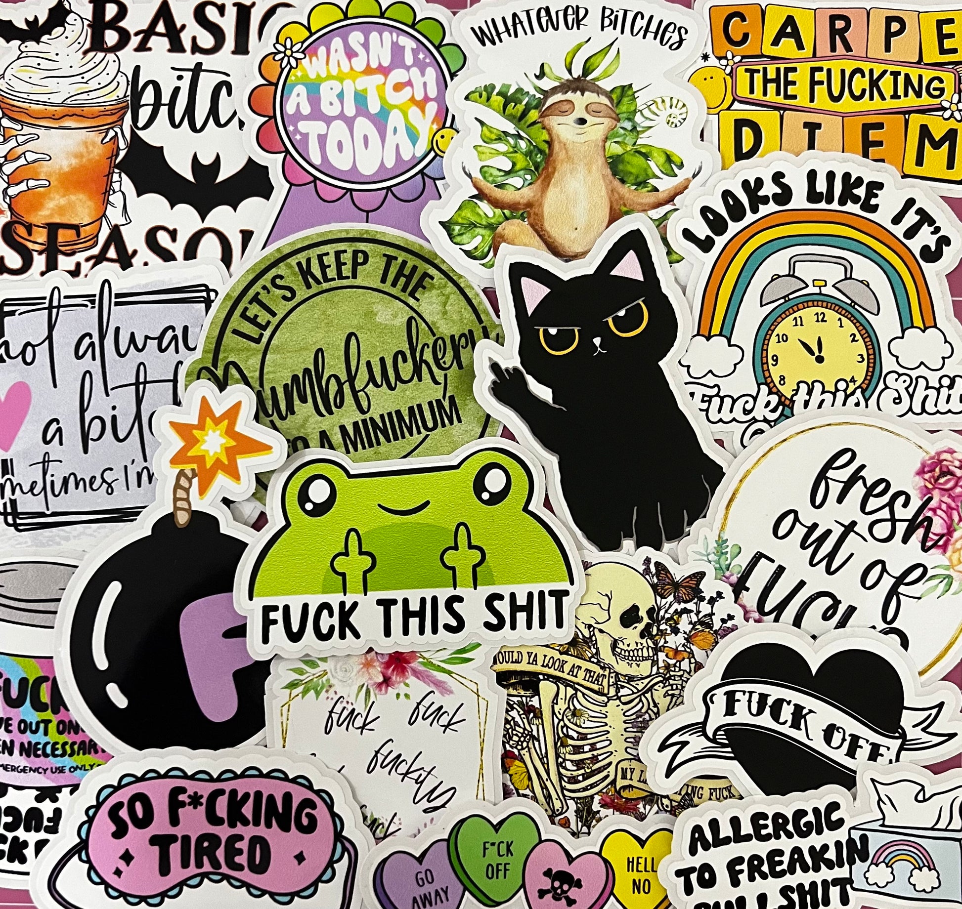 Swear Words Sticker Pack, Mystery Pick Sticker Pack, Stickers, Water Bottle Stickers, Cute Stickers, Book Stickers, Laptop Stickers