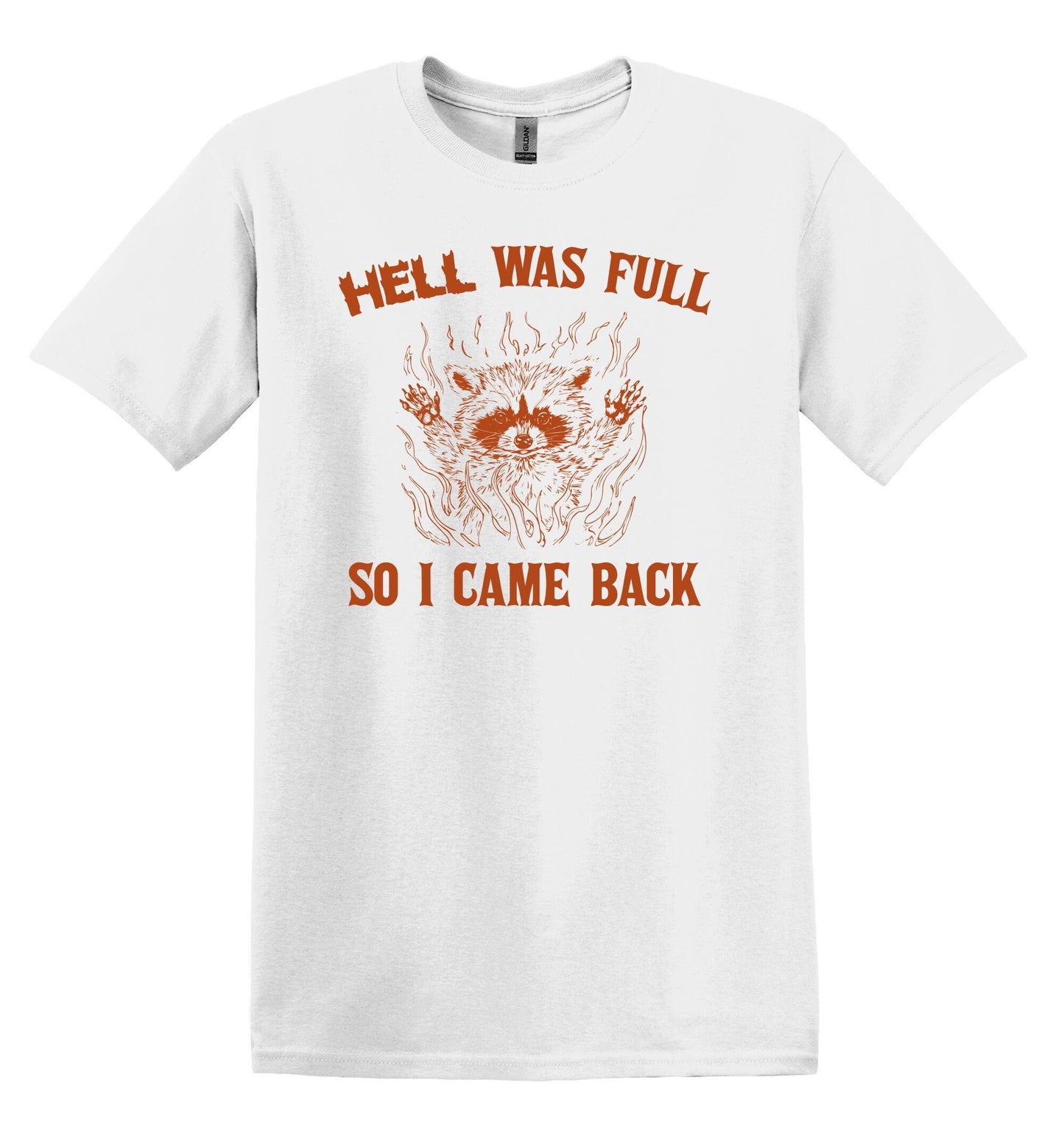 Hell was full so I came back Raccoon Shirt Nostalgia Shirt Minimalist Gag Shirt Meme Shirt Funny Unisex Shirt Cool Friends Gift