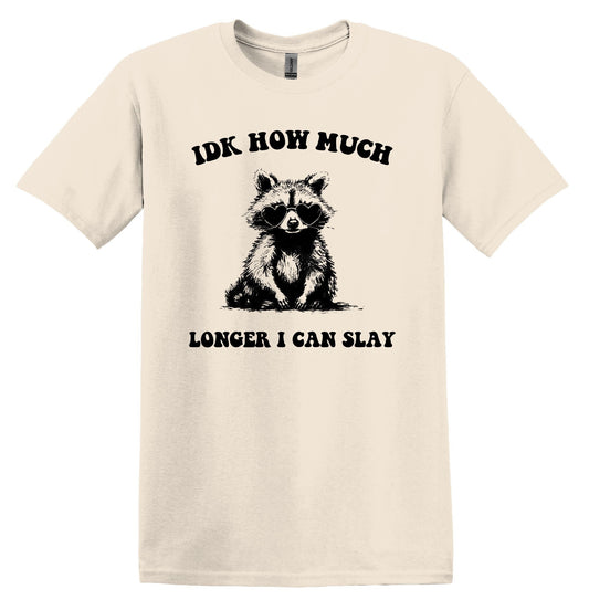 IDK How Much Longer I Can Slay Shirt Graphic Shirt Funny Shirts Vintage Funny T-Shirts Raccoon Shirt Minimalist Shirt
