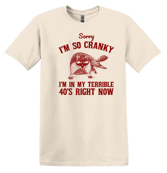 Sorry I'm so Cranky I'm in my Terrible 40s Right Now Shirt Raccoon Shirt Funny Birthday Shirt 40th Birthday Nostalgia Shirt Birthday Shirt