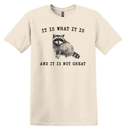 It is what it is and it is not Great Shirt Raccoon Shirt Nostalgia Tee Minimalist Gag Shirt Meme Shirt Funny Unisex Shirt Cool Friend Gift