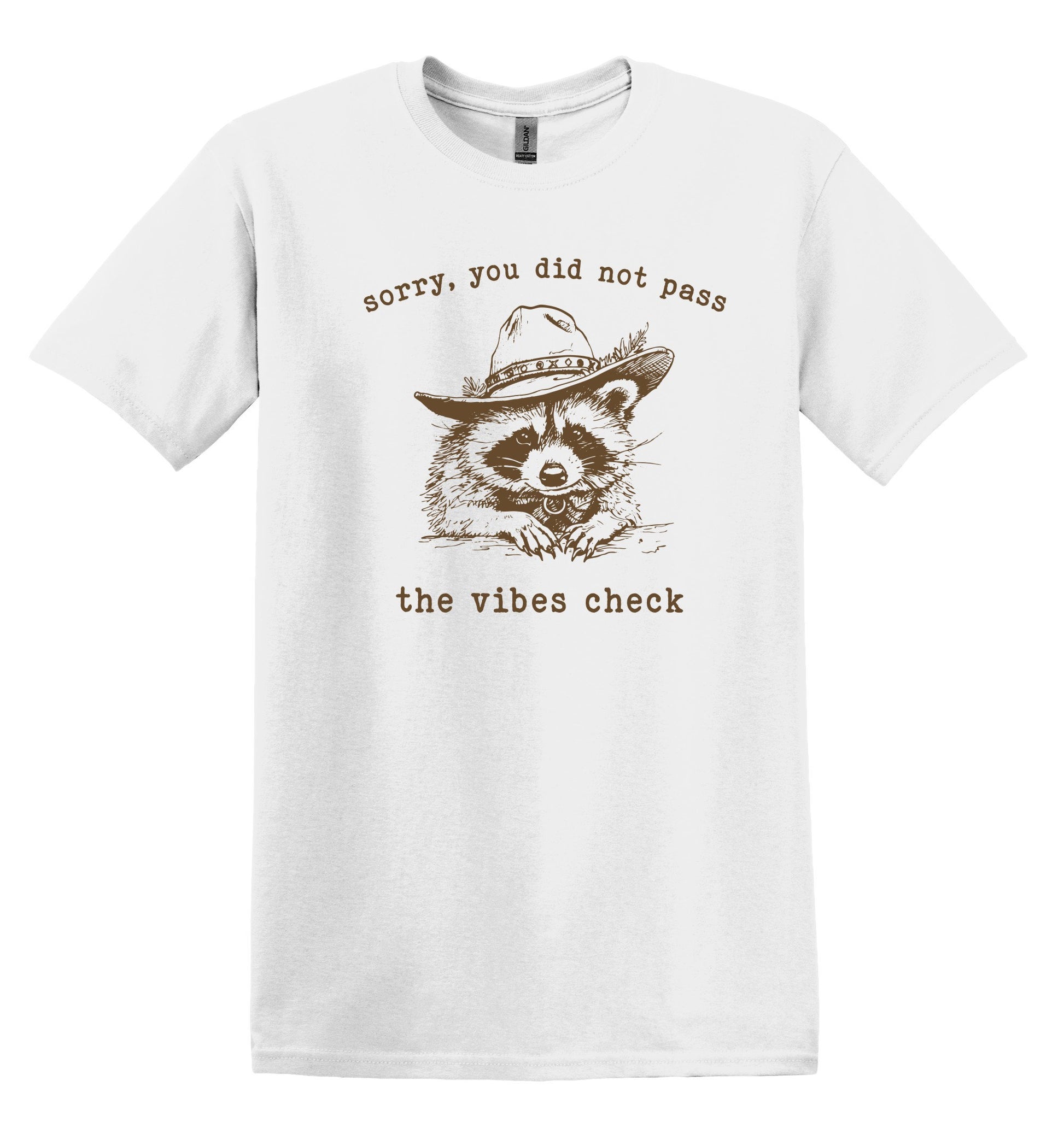 Sorry You Did Not Pass The Vibes Check Shirt Graphic Shirt Funny Shirts Vintage Funny T-Shirts Raccoon Shirt Minimalist Shirt