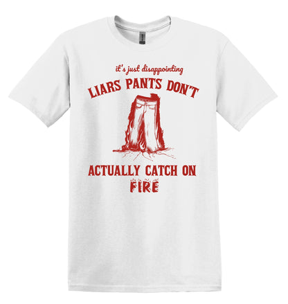 It's Just Disappointing Liars Pants Don't Actually Catch on Fire Shirt Graphic Shirt Funny Shirts Vintage Funny T Shirt Minimalist Shirt