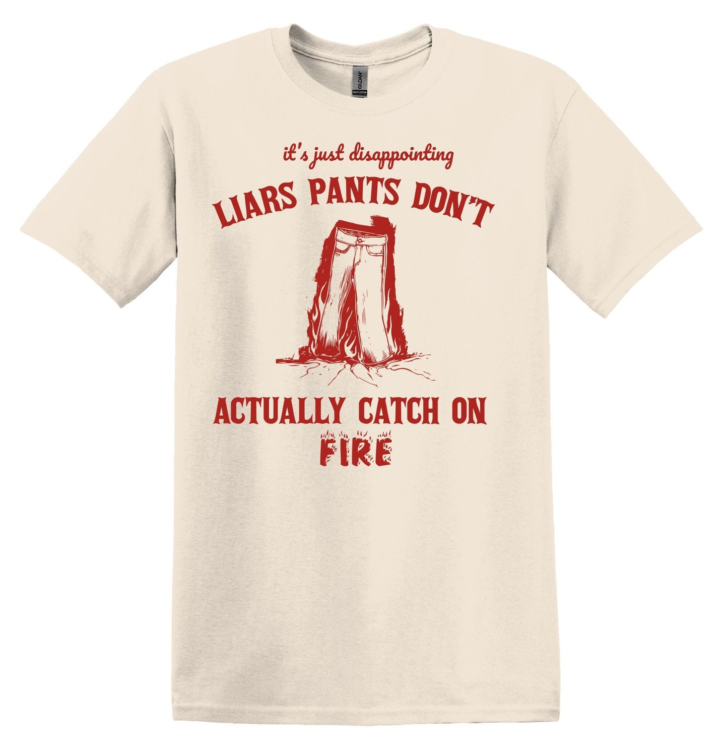 It's Just Disappointing Liars Pants Don't Actually Catch on Fire Shirt Graphic Shirt Funny Shirts Vintage Funny T Shirt Minimalist Shirt