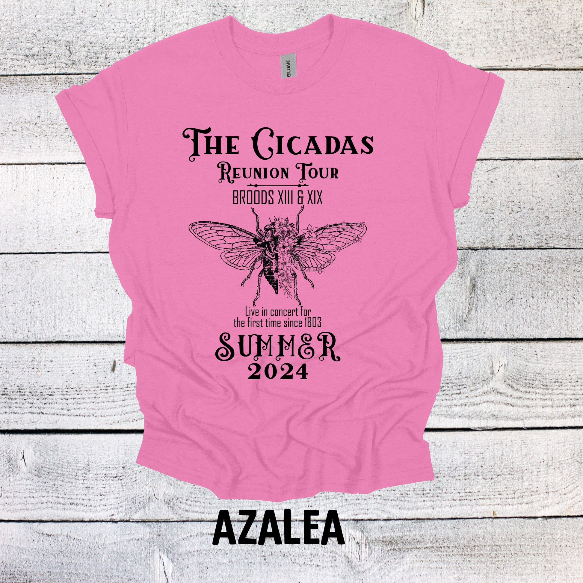 Vintage The Cicadas Summer 2024 Graphic Tee - Retro Nature Lover Shirt - Trendy Bug Print Top for Nature Enthusiasts