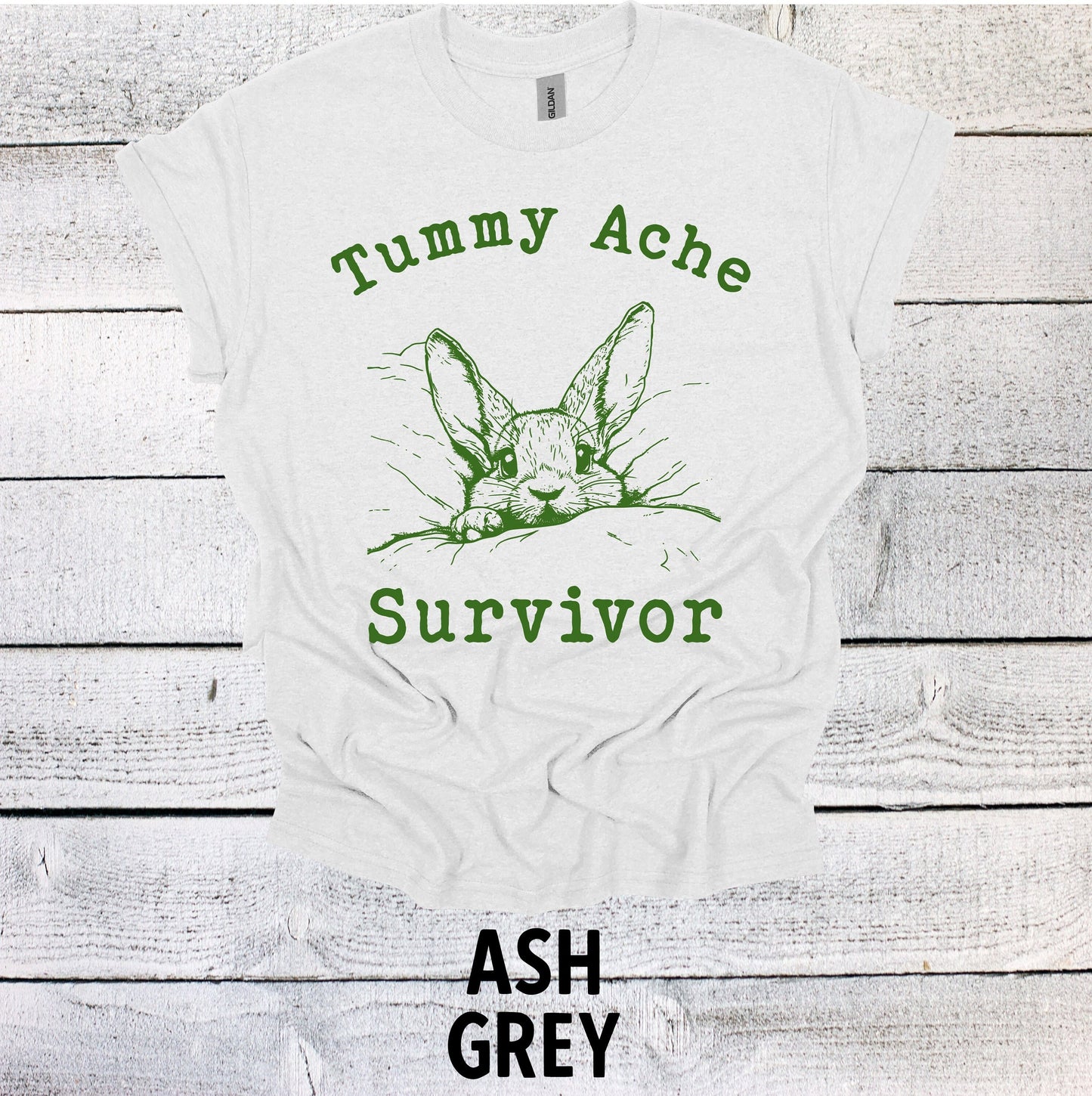 Tummy Ache Survivor Shirt Graphic Shirt Funny Shirts Vintage Funny TShirts Minimalist Unisex Shirt Nostalgia Shirt