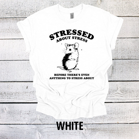 Stressed about Stress Before There's Even Anything to Stress About Shirt Funny Graphic T-Shirt Dinosaur Shirt Funny Saying Shirt Funny Gifts