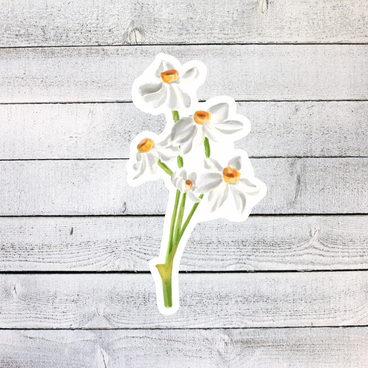 Narcissus December Birth Month Flower Sticker